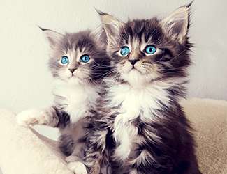 钣金加工机箱机柜前需要做什么?